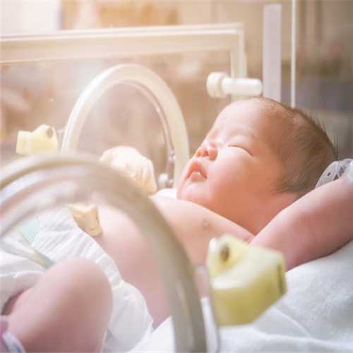 国内有哪些代孕公司-广州做试管取卵_青海红十字医院做试管婴儿费用是多少？