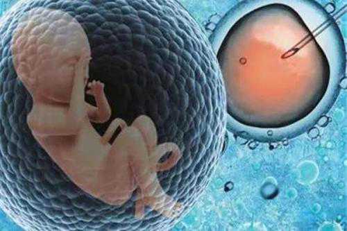 代孕卵子的价格-广州代孕成功率有多少_重庆助孕试管婴儿冷冻胚胎是怎么回事